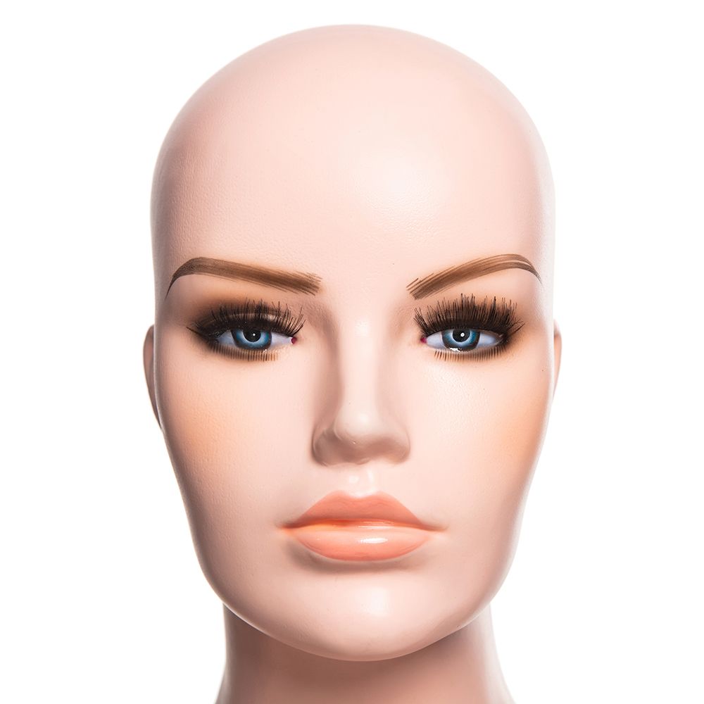 Female Display Head with Shoulders and full makeup